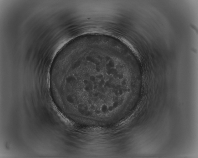 X0000091940791200710031117