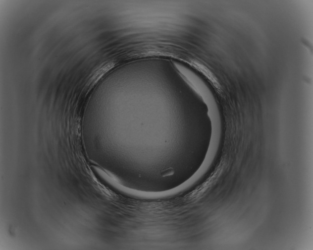 X0000091940793200710031117