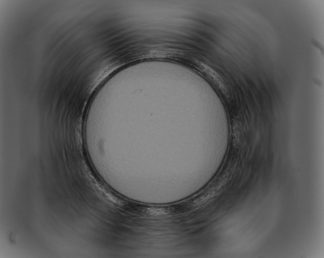 X0000091940794200710031117