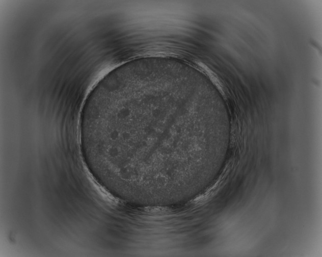 X0000091940795200710031117