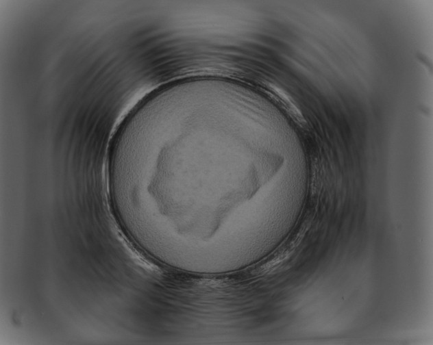 X0000091940796200710031117