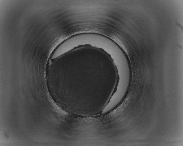 X0000091940797200710031117