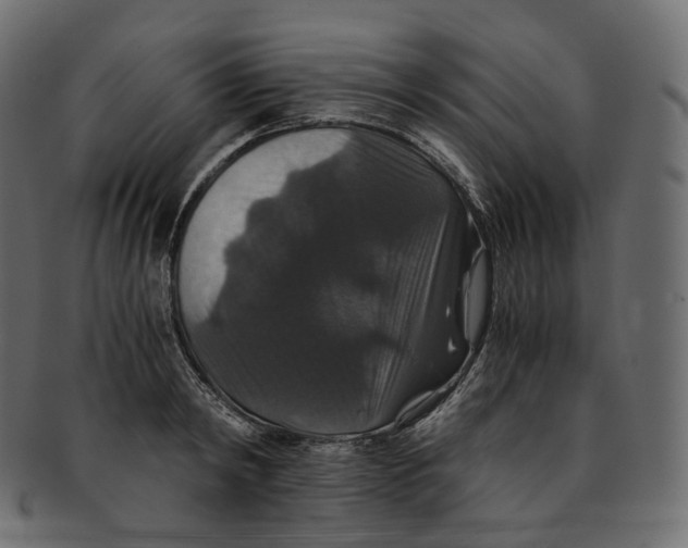 X0000091940798200710031117