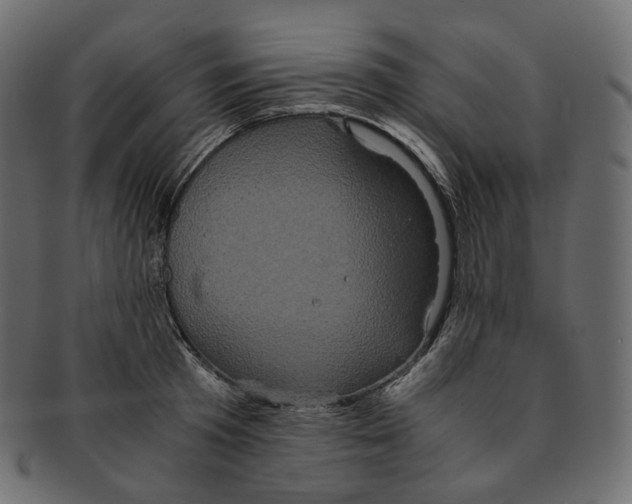 X0000091940801200710031116