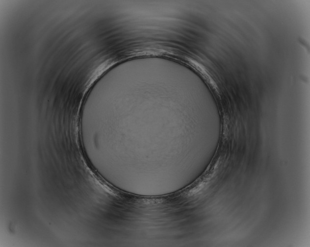 X0000091940802200710031116