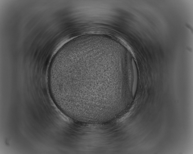 X0000091940803200710031116