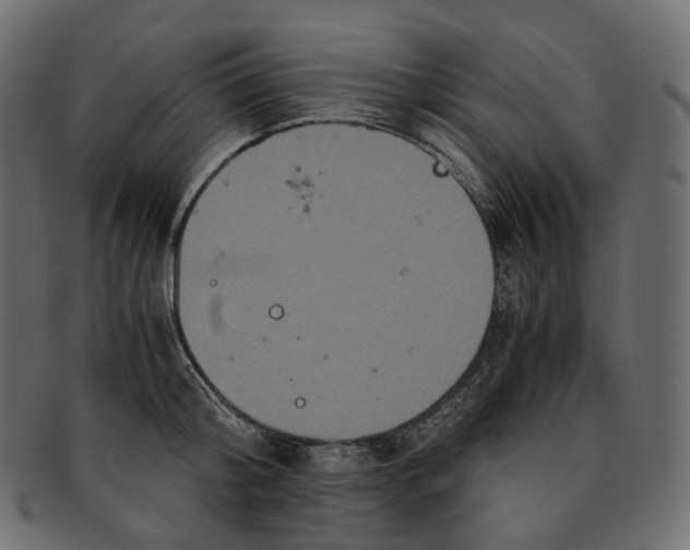 X0000091940804200710031116