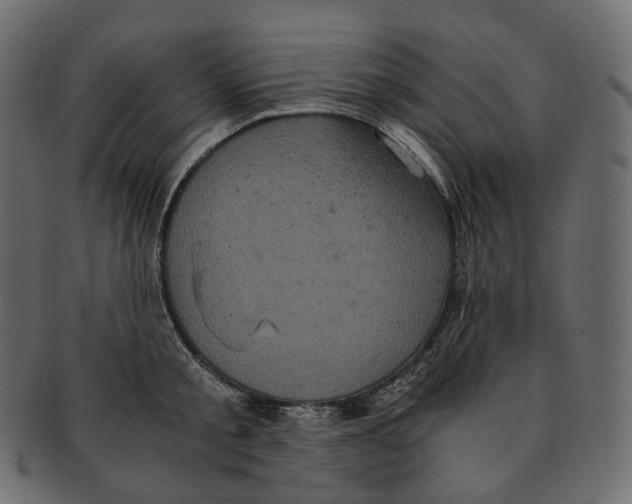 X0000091940805200710031116