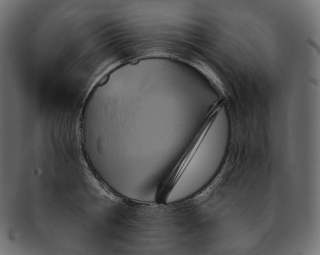 X0000091940806200710031116