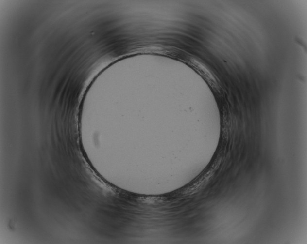 X0000091940808200710031116