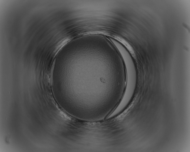 X0000091940809200710031116