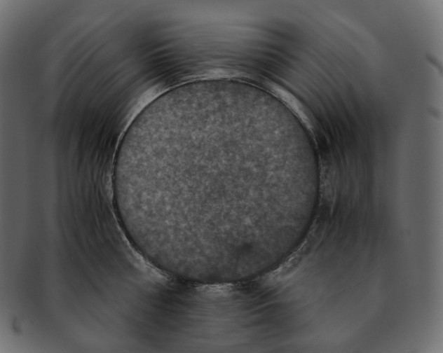 X0000091940810200710031116