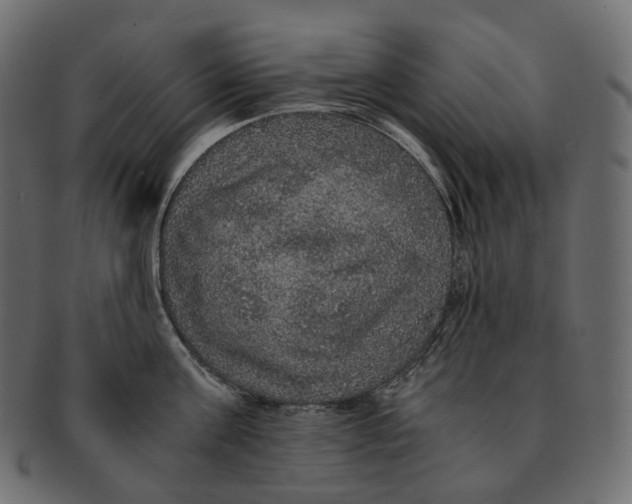 X0000091940811200710031116