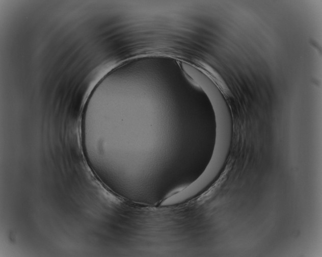 X0000091940812200710031116