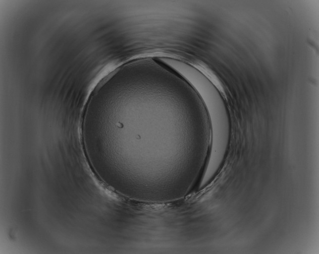 X0000091940813200710031116