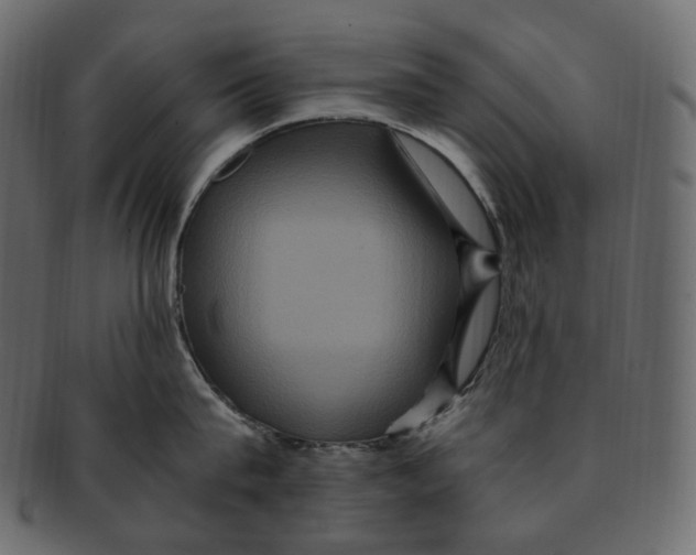 X0000091940815200710031116