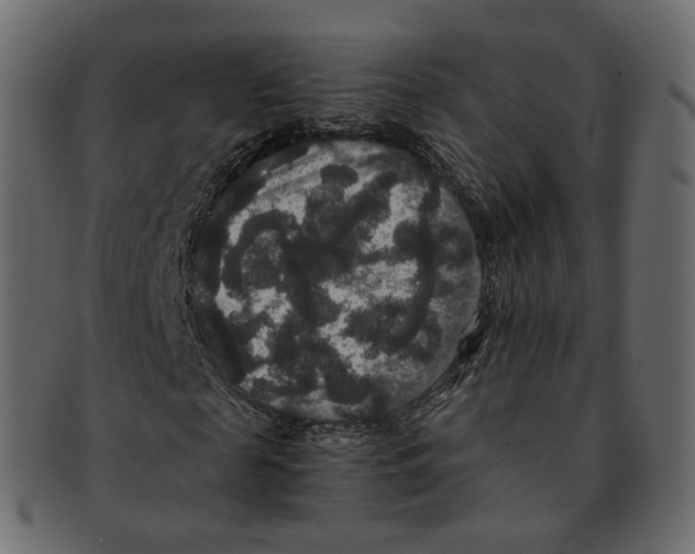 X0000091940817200710031116