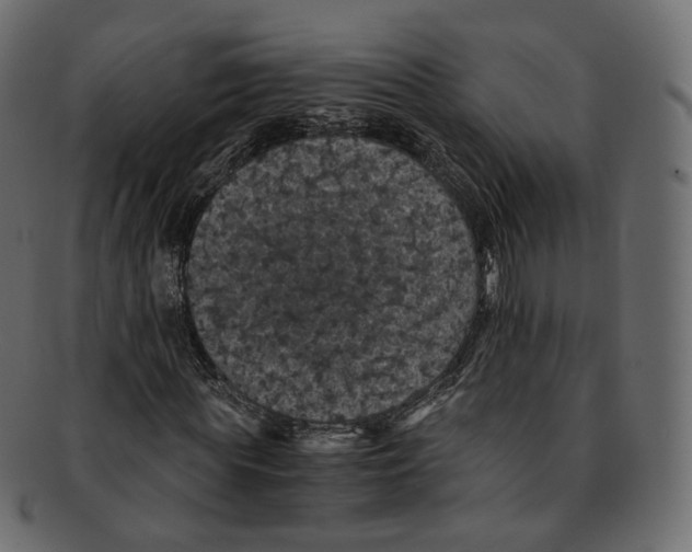 X0000091940819200710031116