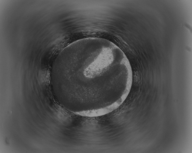 X0000091940820200710031116