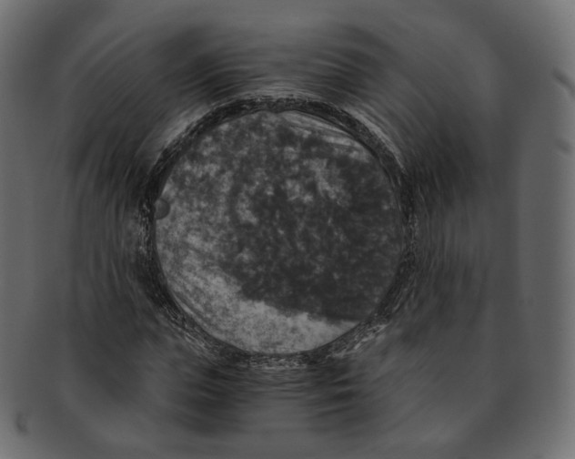 X0000091940823200710031116