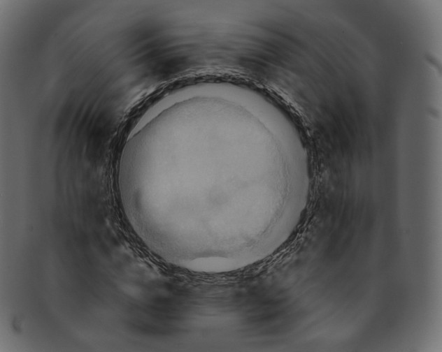 X0000091940824200710031116