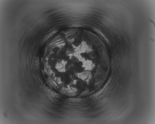 X0000091940825200710031116