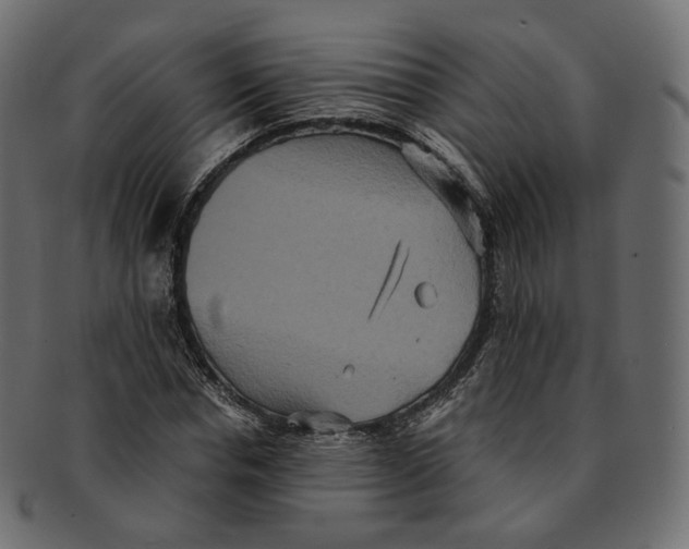 X0000091940826200710031116