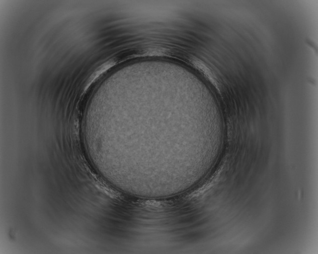 X0000091940827200710031116