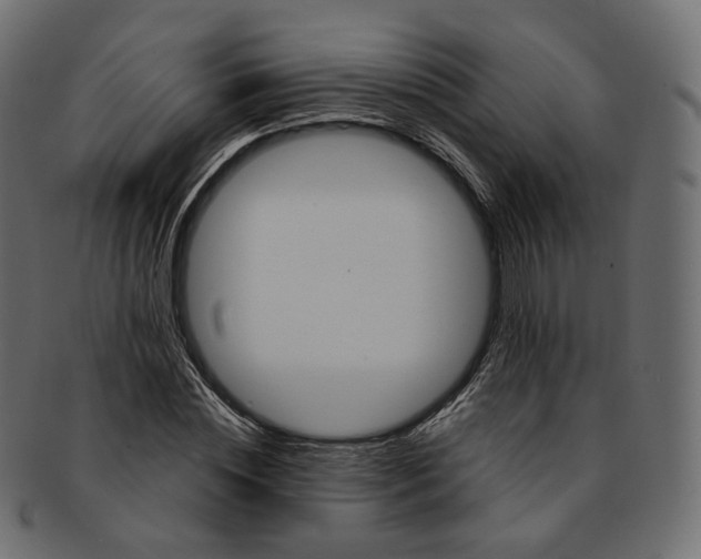 X0000091940828200710031116