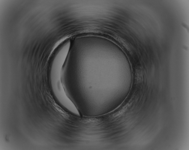 X0000091940830200710031116