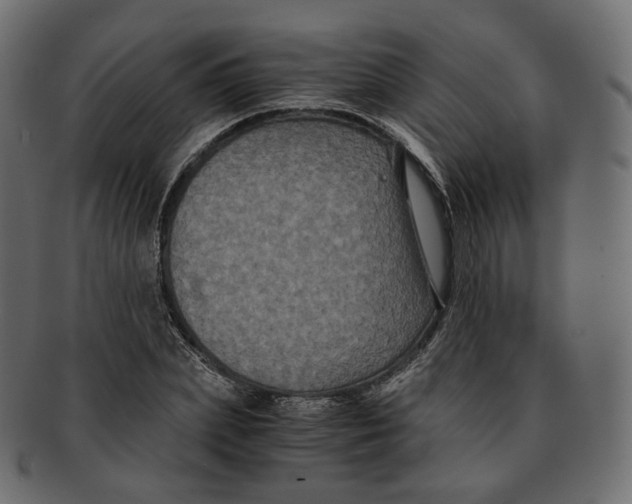 X0000091940831200710031116