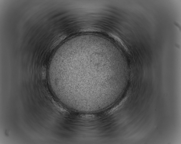 X0000091940833200710031116