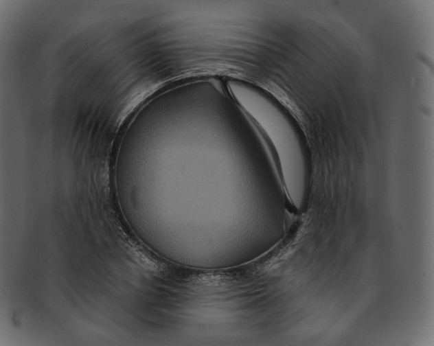 X0000091940834200710031116