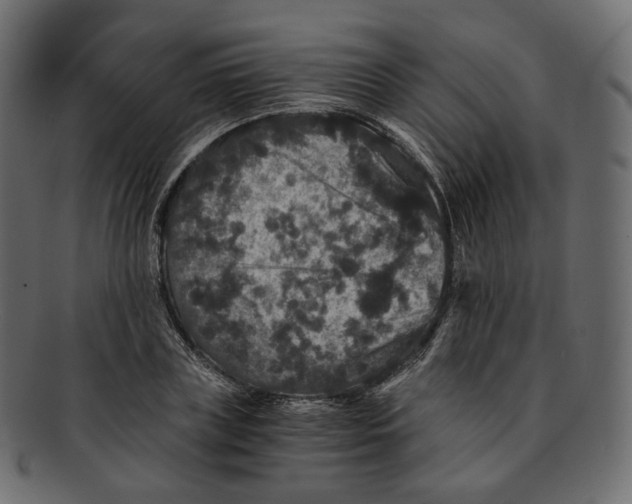 X0000091940835200710031116