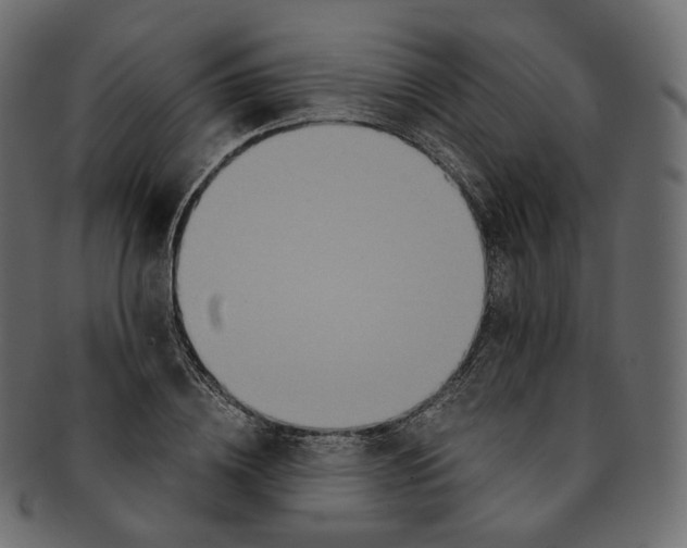 X0000091940836200710031116