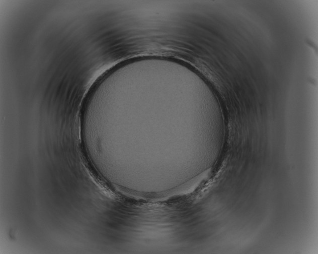 X0000091940838200710031116