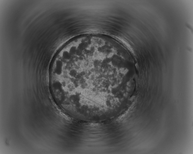 X0000091940839200710031116