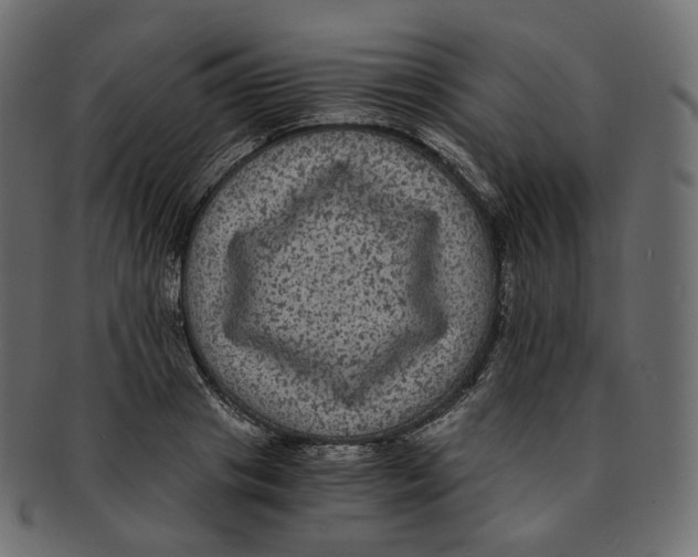 X0000091940841200710031116