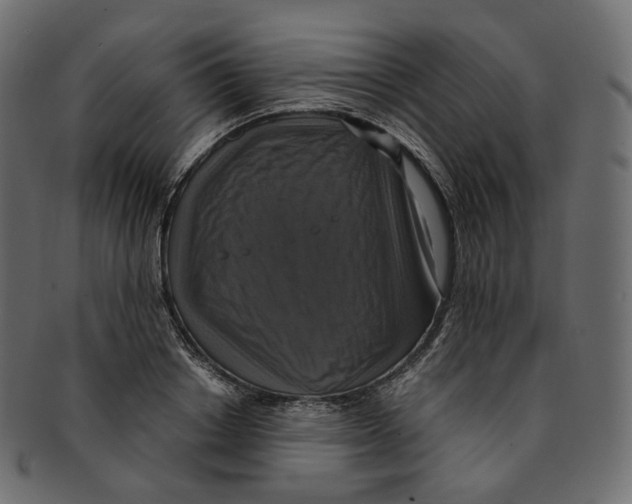 X0000091940842200710031116