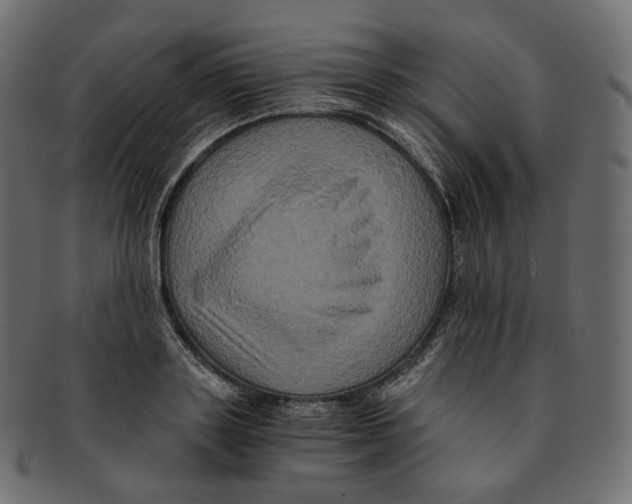 X0000091940843200710031116