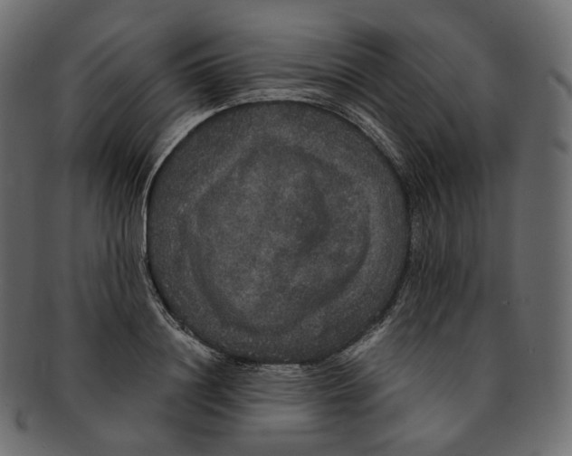 X0000091940844200710031116