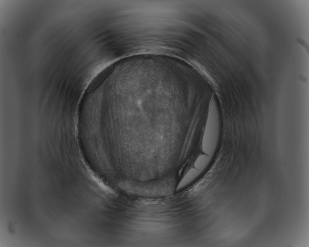 X0000091940846200710031116