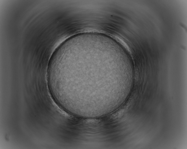 X0000091940847200710031116