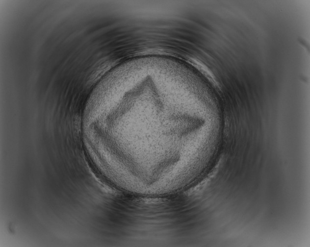 X0000091940849200710031116