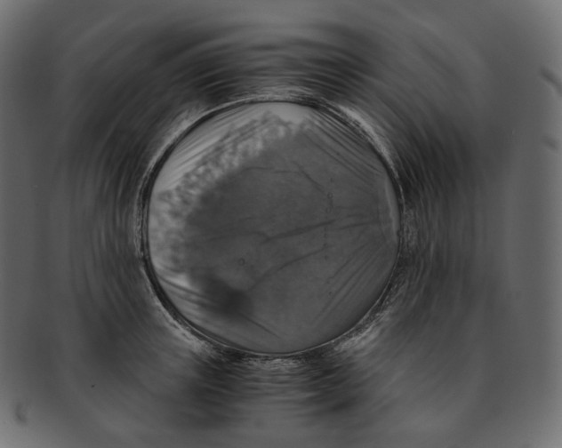 X0000091940851200710031116