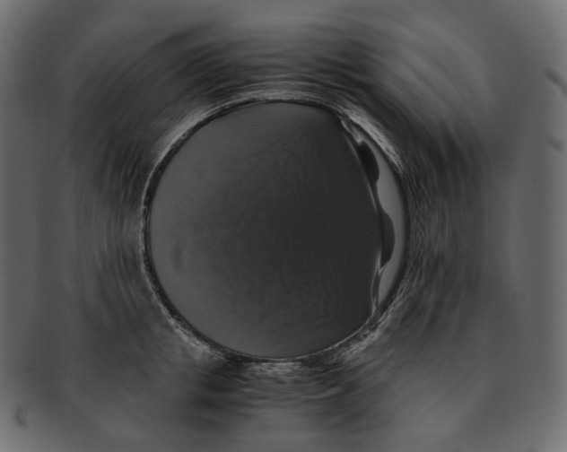 X0000091940853200710031116