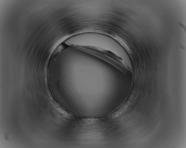 X0000091940854200710031116