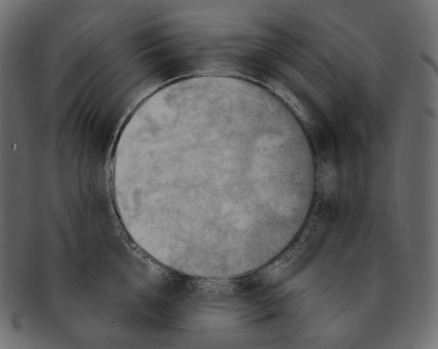 X0000091940856200710031116