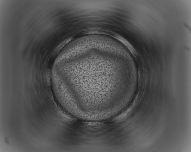 X0000091940857200710031116