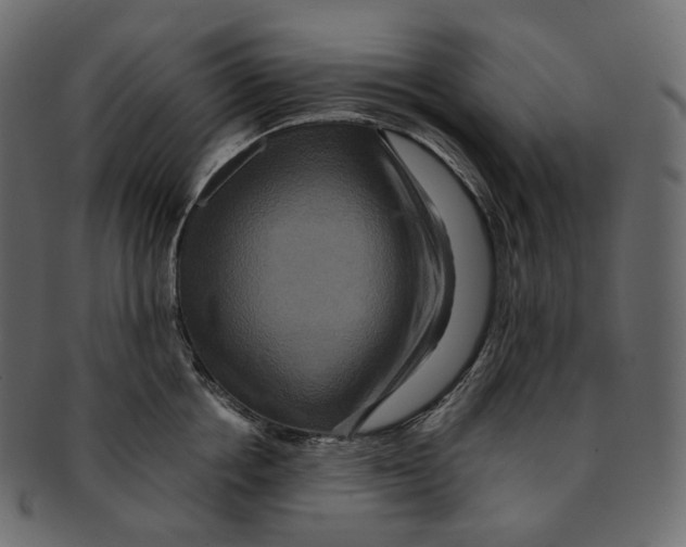 X0000091940858200710031116